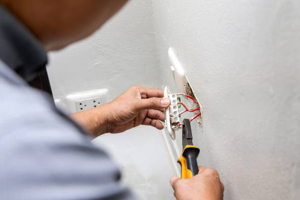 Best Electrical System Inspection  in Leadville North, CO