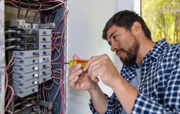 Best Electric Panel Repair  in Leadville North, CO